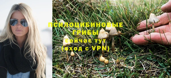 2c-b Балабаново