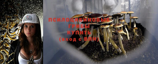 экстази Арсеньев