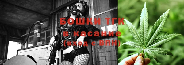 экстази Арсеньев